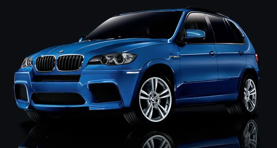 versos de amistad y amor_07. wallpaper 2010 BMW X5 M Track