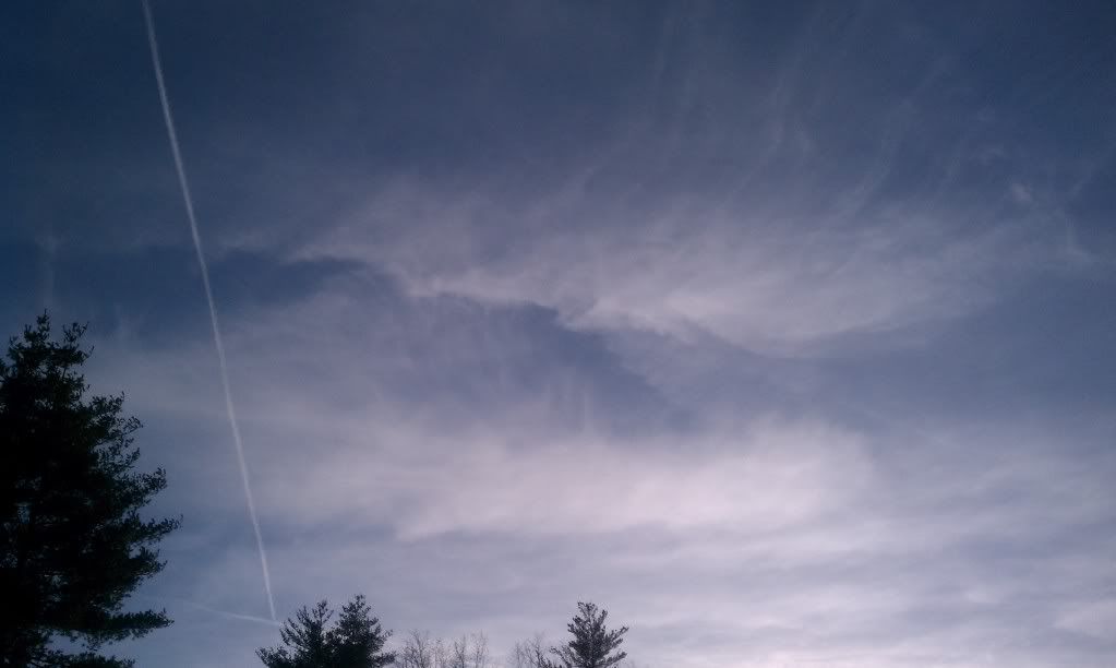 IMAG0051.jpg