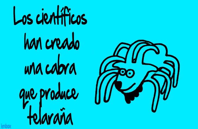 Que Que