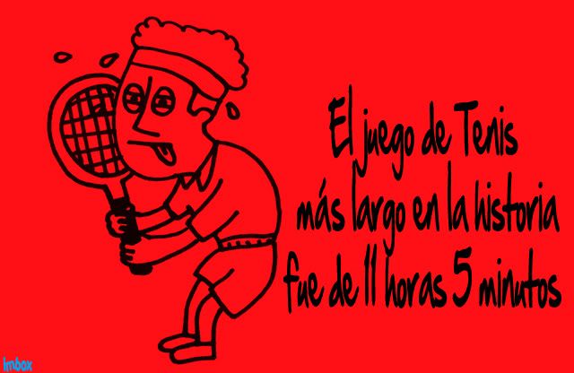 lo lo