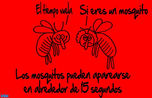 lo lo