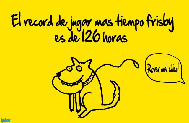 lo lo