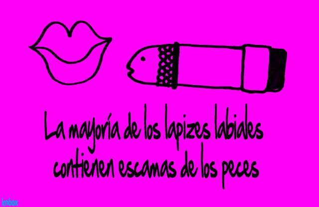 lo lo