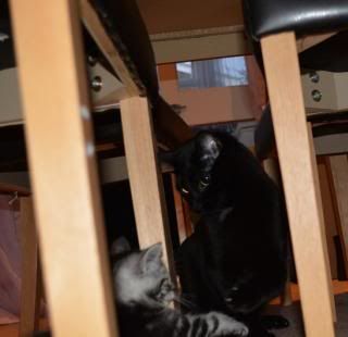 DSC_0534.jpg~original