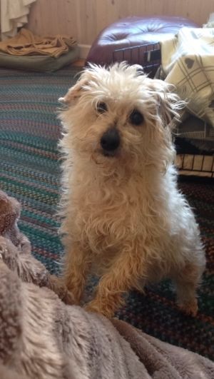 368ebd19-cd39-4dc0-be55-f6e14c770cf8_zps