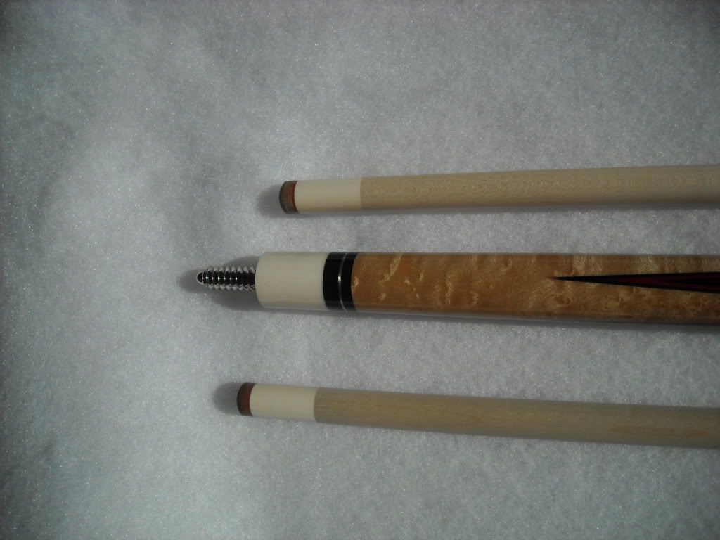 DSCN1516.jpg