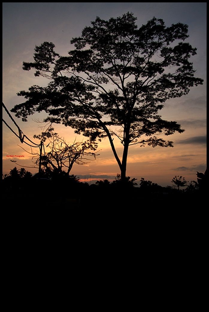 IMAGE: http://i766.photobucket.com/albums/xx307/hd2672/IMG_0907.jpg