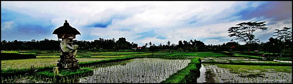 IMAGE: http://i766.photobucket.com/albums/xx307/hd2672/eclipse_images/IMG_2703.jpg