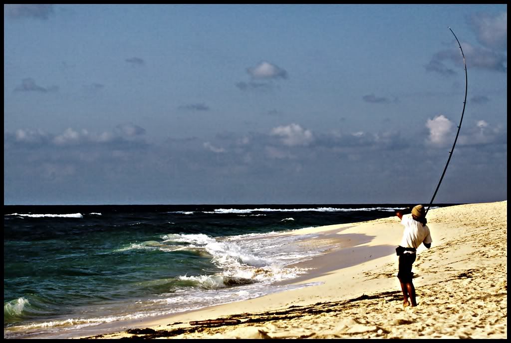 IMAGE: http://i766.photobucket.com/albums/xx307/hd2672/eclipse_images/IMG_4937.jpg