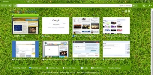 Grass Background for Google Chrome. Everyday I spend many hours sitting in 