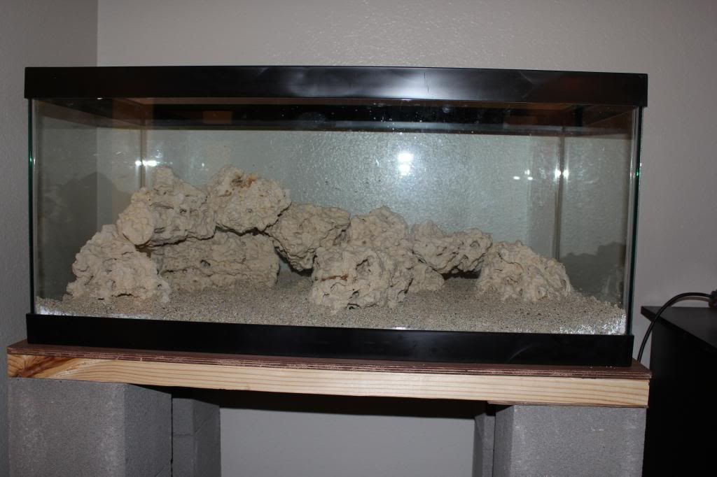 IMG_0034_zpsf0584835