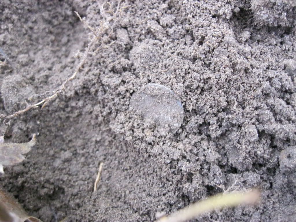 IMG_1007.jpg