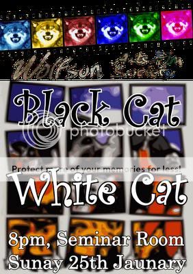 Black Cat, White Cat Images, Pictures, Photos, Icons and Wallpapers ...