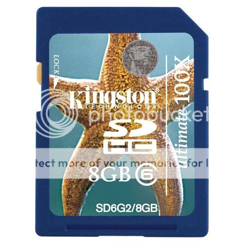 Kingston 8GB Ultimate Class 6 100X Secure Digital High Capacity Flash Card 